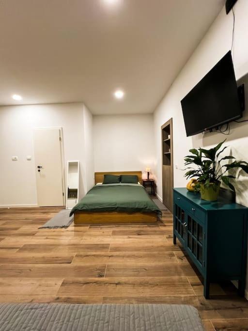Studio Apartment Joanna Rijeka Exterior foto
